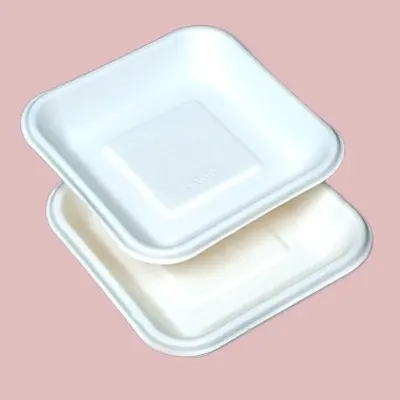 Havve 6-inch square compostable plates - eco-friendly disposable tableware